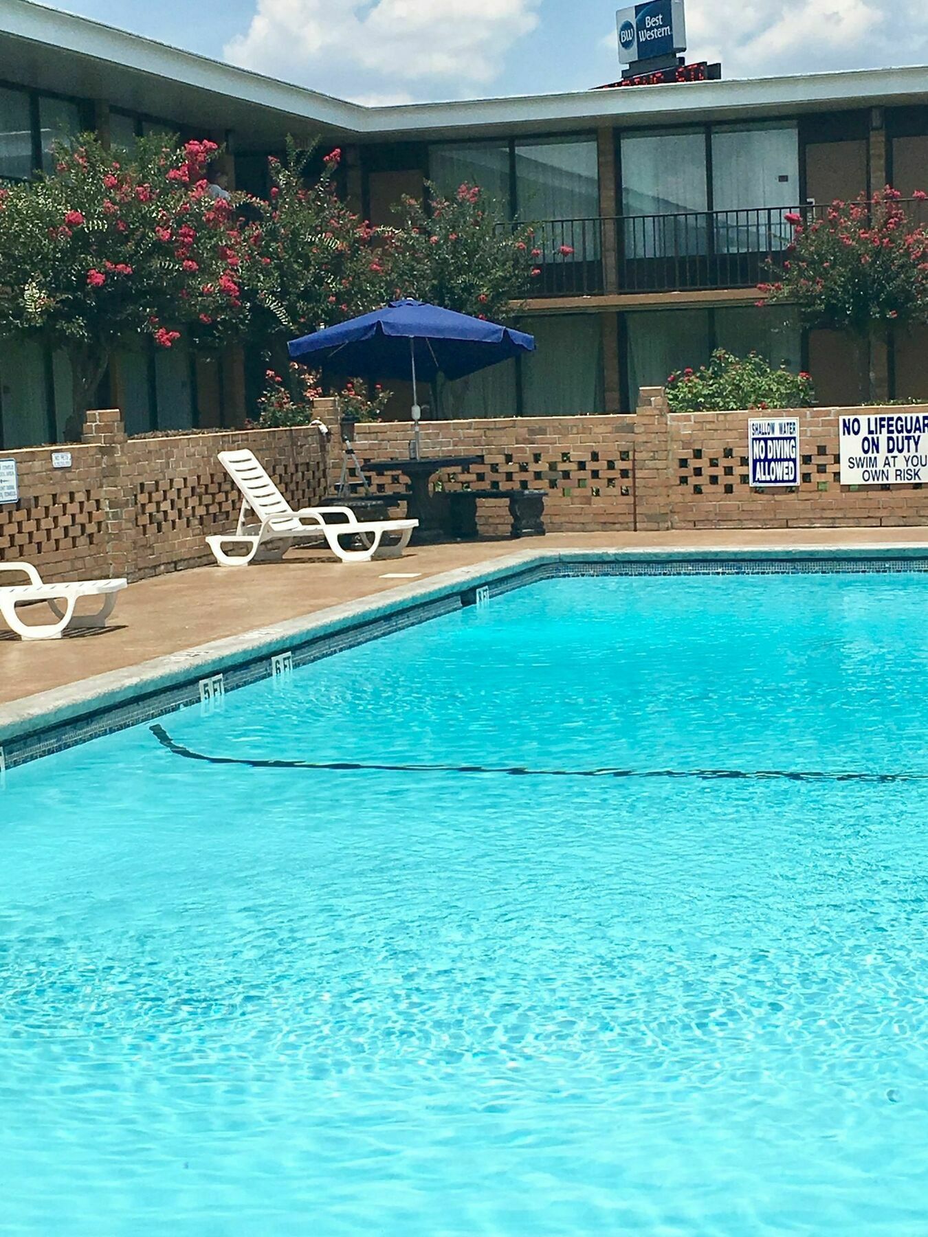 Best Western Greenville Airport Bagian luar foto