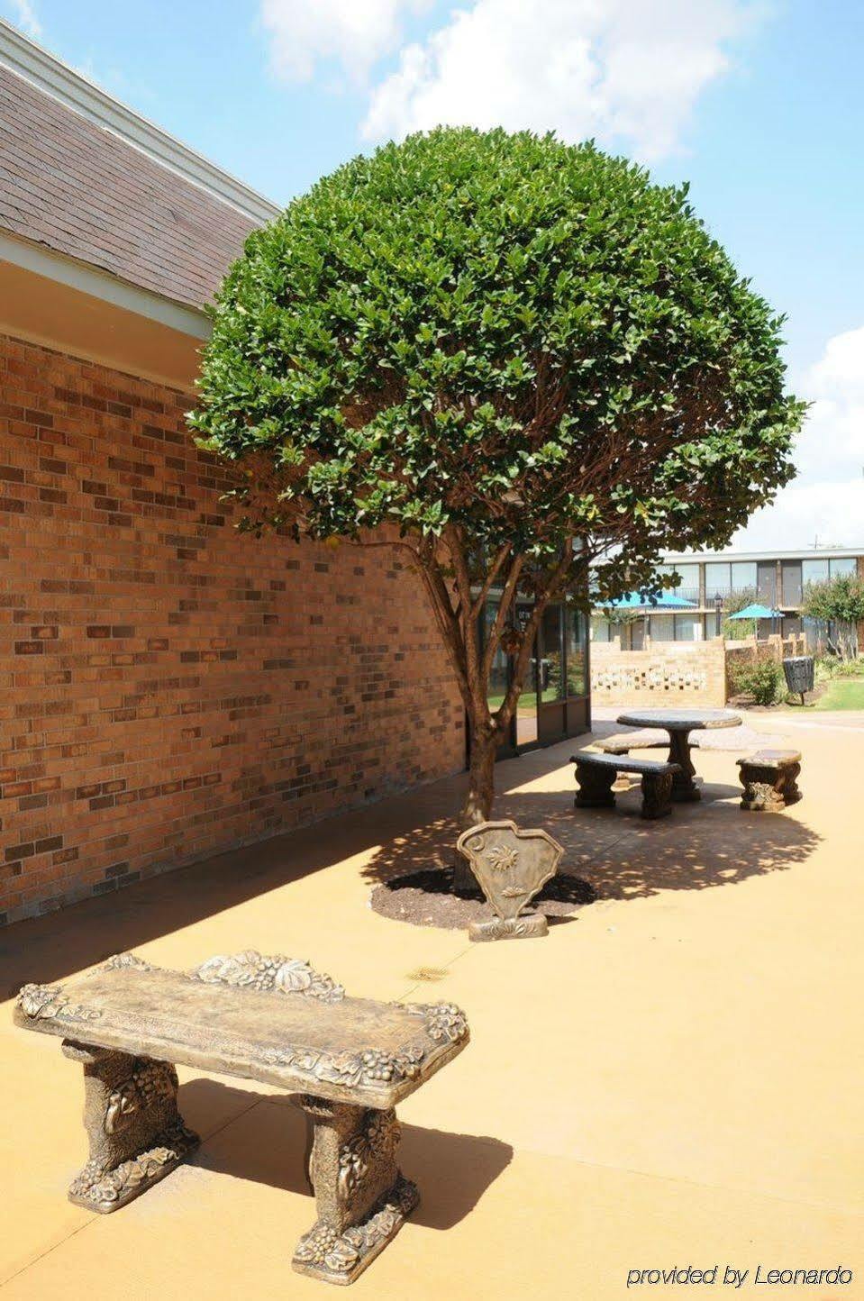 Best Western Greenville Airport Bagian luar foto